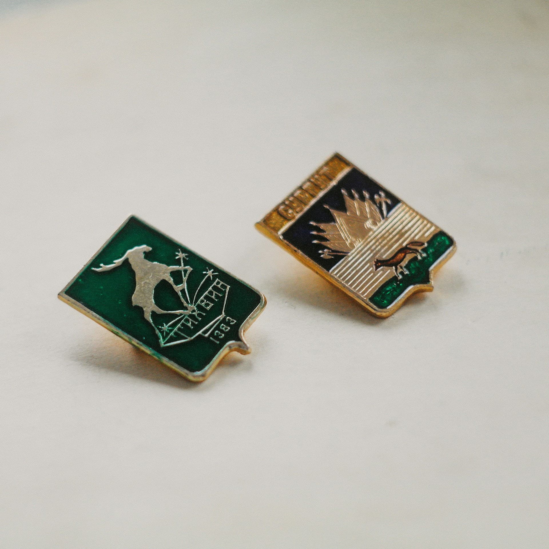 Celebrate Your School's Spirit and Achievements with Custom Lapel Pins